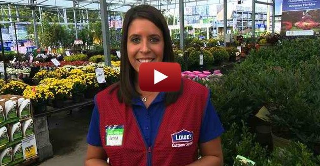 American Homes and Gardens Magazine, Pesonalized Mini Gardens